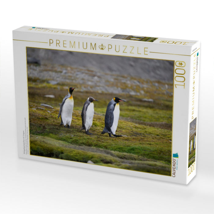 Königspinguinpärchen mit Jungem - CALVENDO Foto-Puzzle'