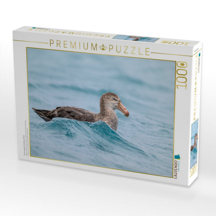 Sturmvogel bei Salisbury Plain - CALVENDO Foto-Puzzle'