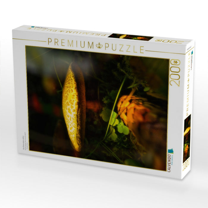 Das Besondere sehen - CALVENDO Foto-Puzzle'
