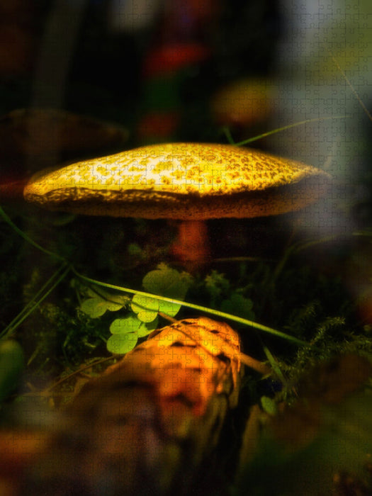 Das Besondere sehen - CALVENDO Foto-Puzzle'