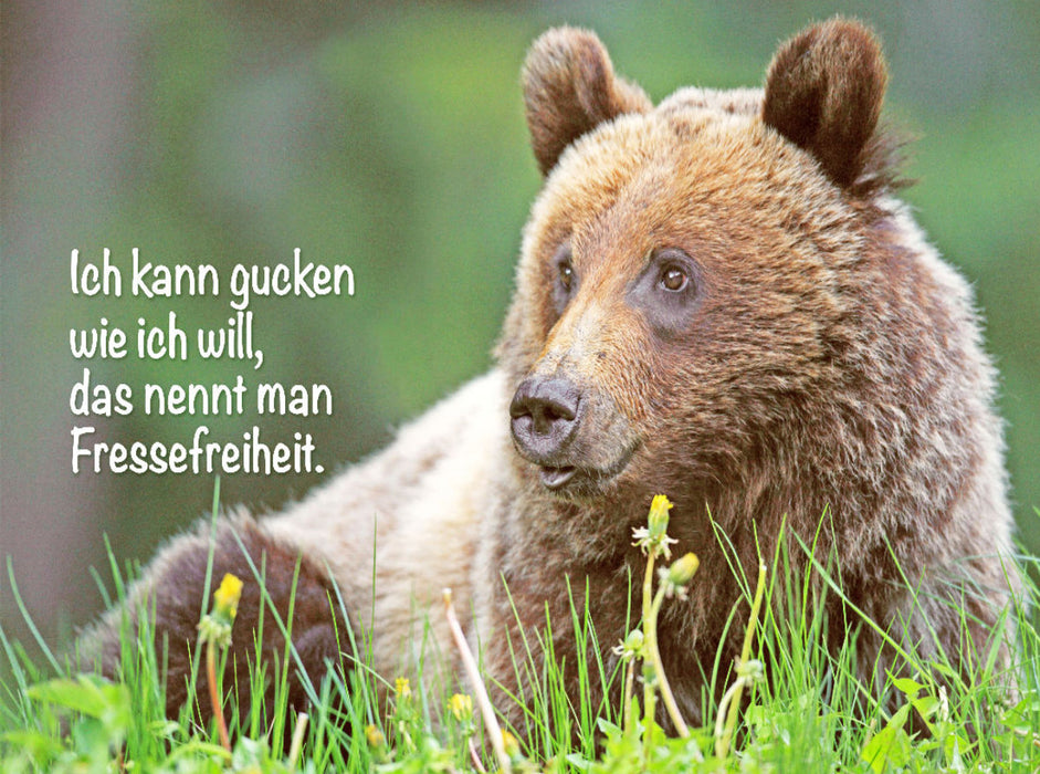 Freche Sprüche zum täglichen Wahnsinn im Job - CALVENDO Foto-Puzzle'