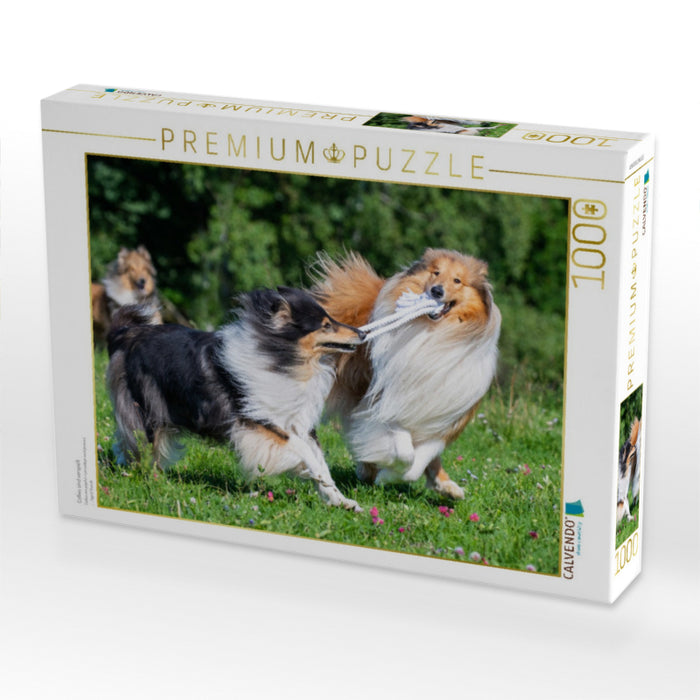 Collies sind verspielt - CALVENDO Foto-Puzzle'