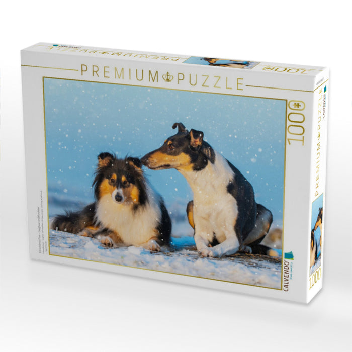 Ein schönes Paar - Langhaar und Kurzhaar - CALVENDO Foto-Puzzle'