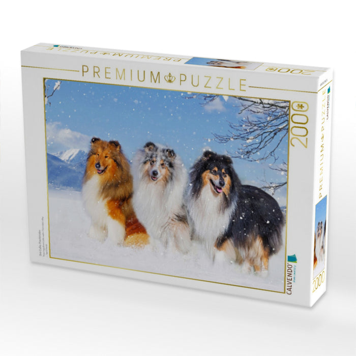 Drei Collie-Prachtrüden - CALVENDO Foto-Puzzle'