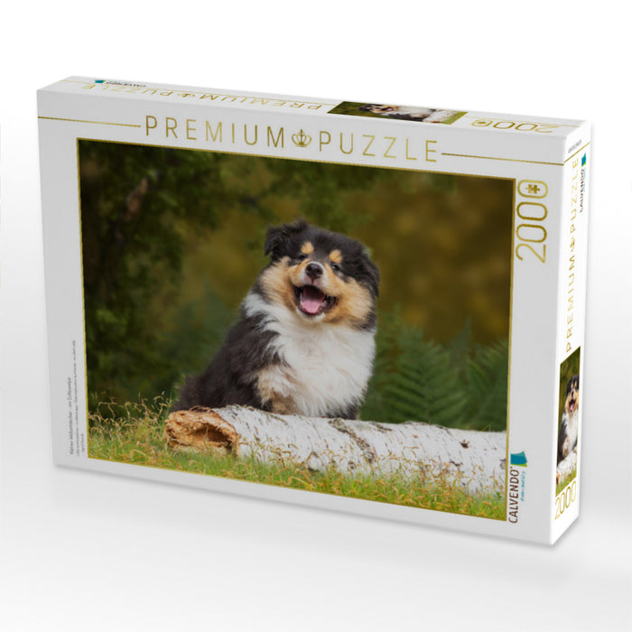 Kleiner Weltentdecker - ein Colliewelpe - CALVENDO Foto-Puzzle'