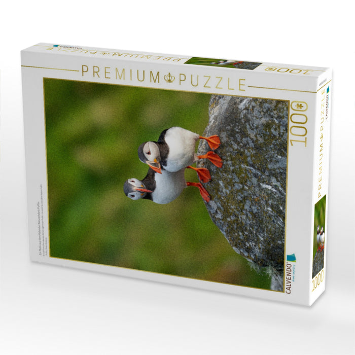 Ein Motiv aus dem Kalender Naturerlebnis Puffin - CALVENDO Foto-Puzzle'