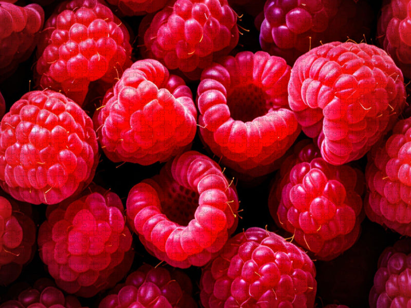 Himbeere - CALVENDO Foto-Puzzle'