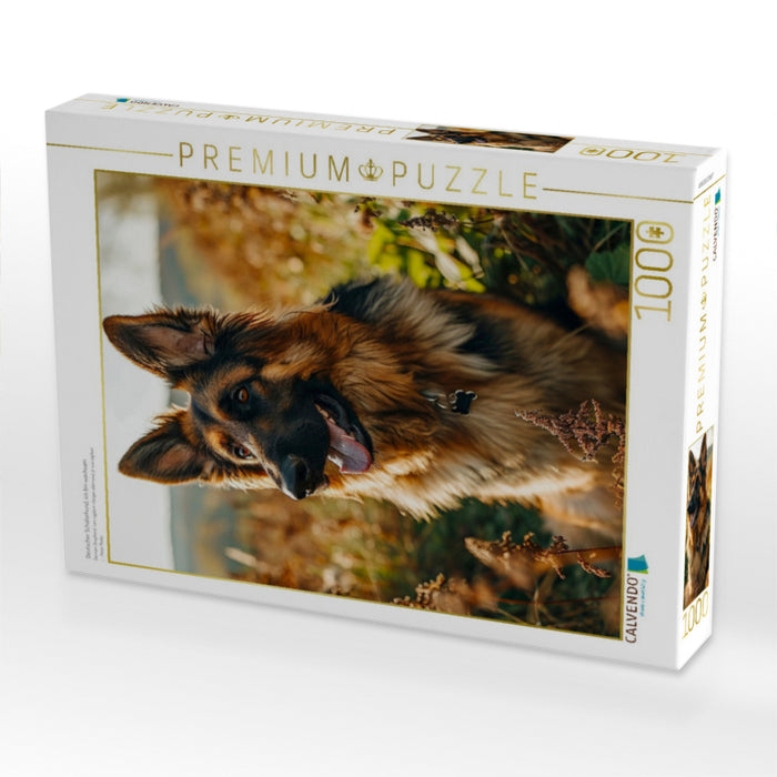Deutscher Schäferhund, ich bin wachsam - CALVENDO Foto-Puzzle'
