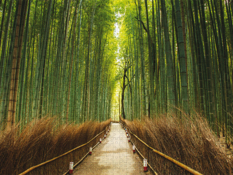 Bambuswald, Arashiyama, Kyoto - CALVENDO Foto-Puzzle'