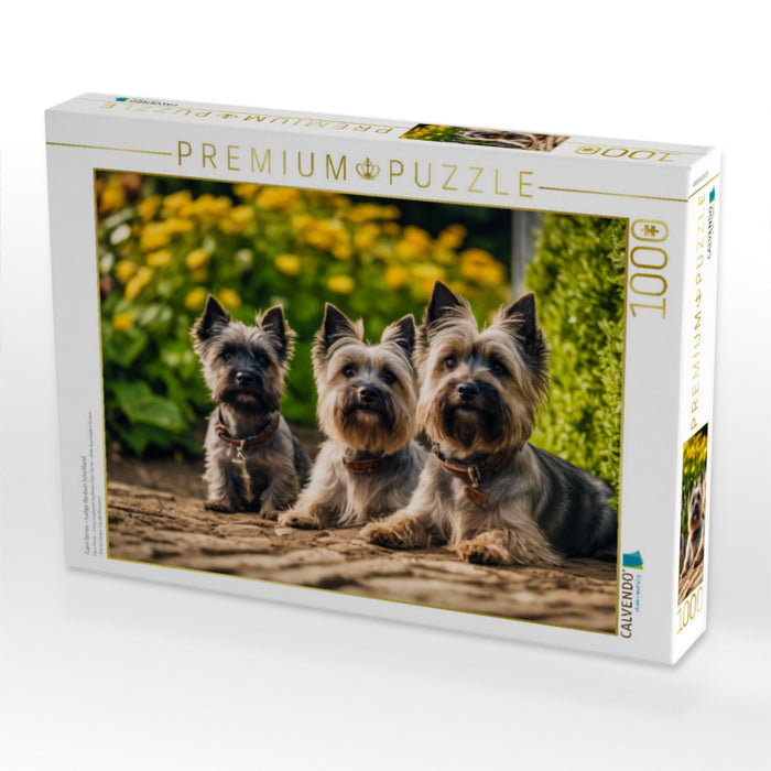 Cairn Terrier - lustige Raubein Schottland - CALVENDO Foto-Puzzle'