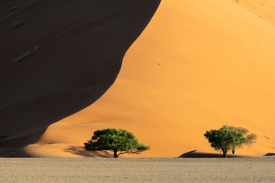 Premium Textil-Leinwand Sanddüne der Namib