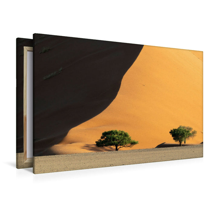 Premium Textil-Leinwand Sanddüne der Namib
