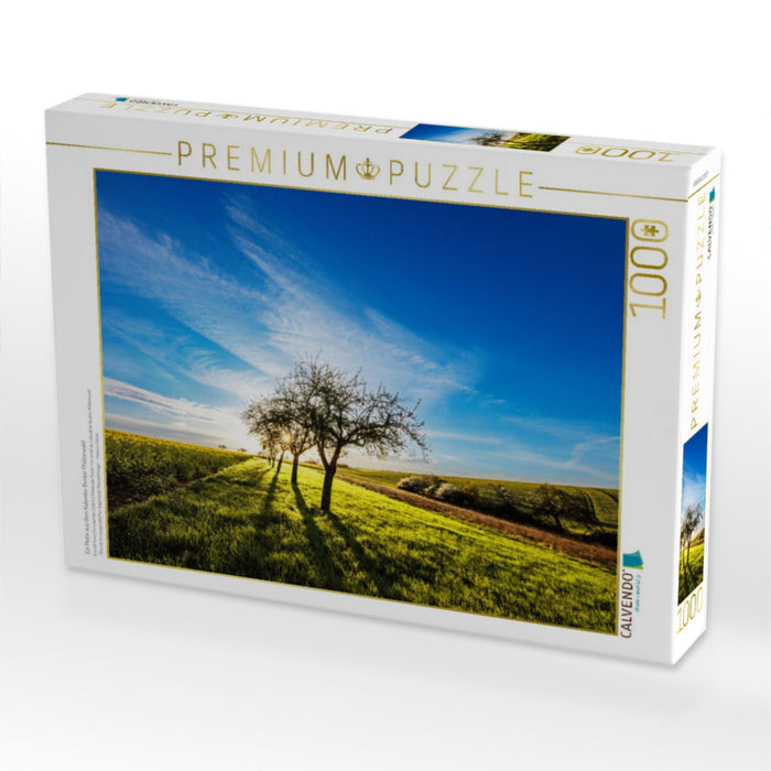 Ein Motiv aus dem Kalender Bunter Pfälzerwald - CALVENDO Foto-Puzzle'