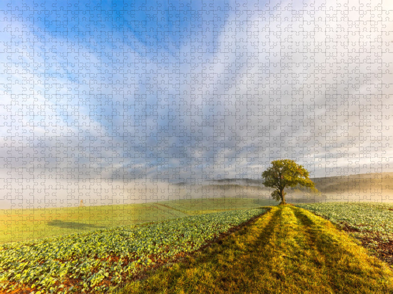 Ein Motiv aus dem Kalender Bunter Pfälzerwald - CALVENDO Foto-Puzzle'