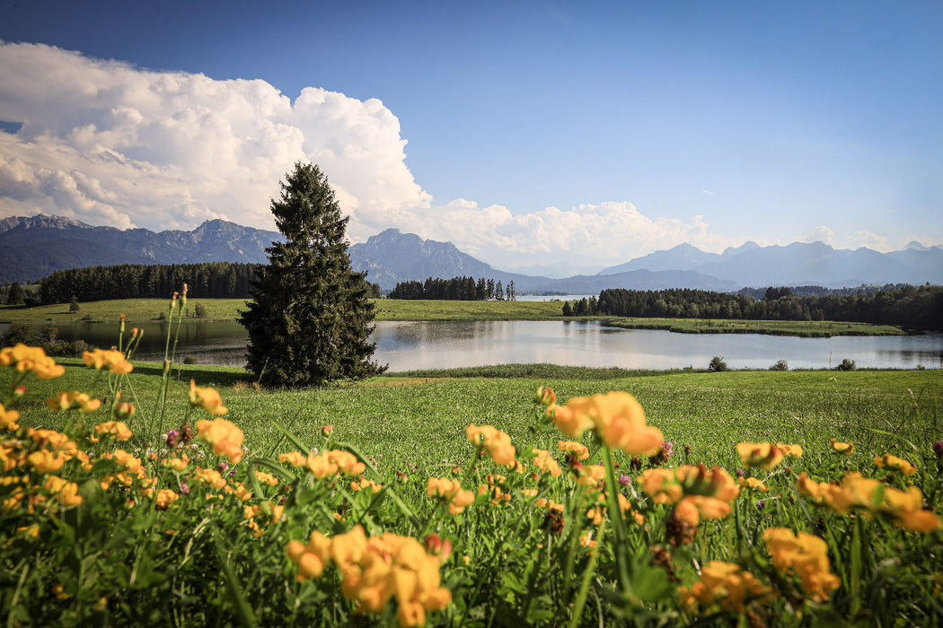 Premium Textil-Leinwand Vilsalpsee