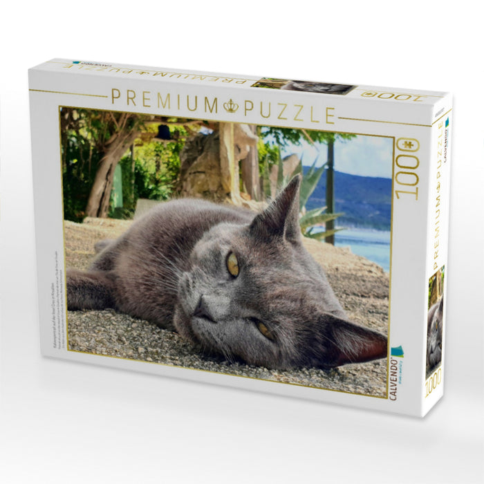 Katzenportrait auf der Insel Cres in Kroatien - CALVENDO Foto-Puzzle'