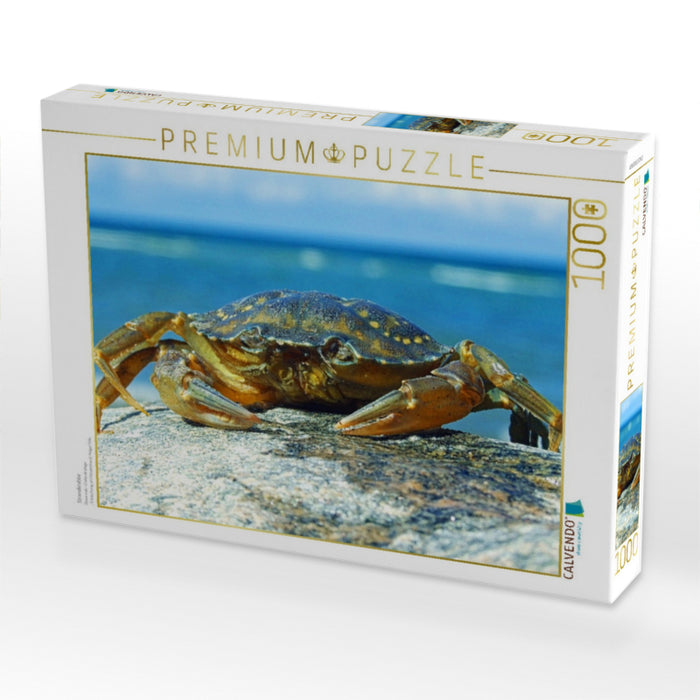 Strandkrabbe - CALVENDO Foto-Puzzle'