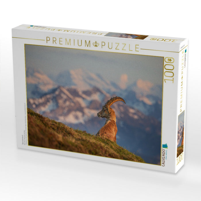 Alpensteinbock - CALVENDO Foto-Puzzle'