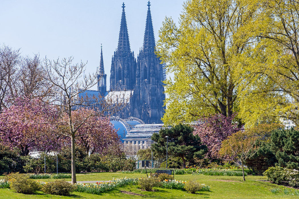 Premium Textil-Leinwand Rheinpark, Köln