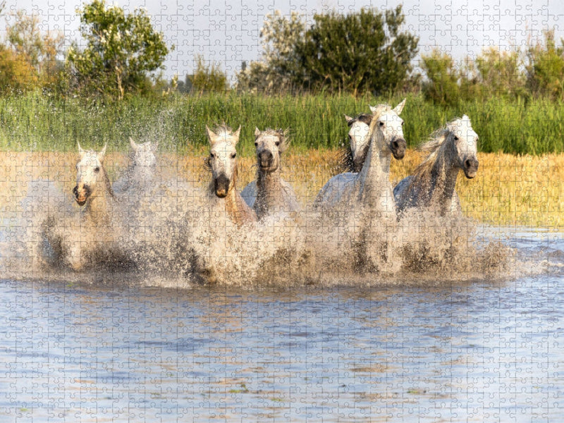 Abkühlung im Sumpf - CALVENDO Foto-Puzzle'