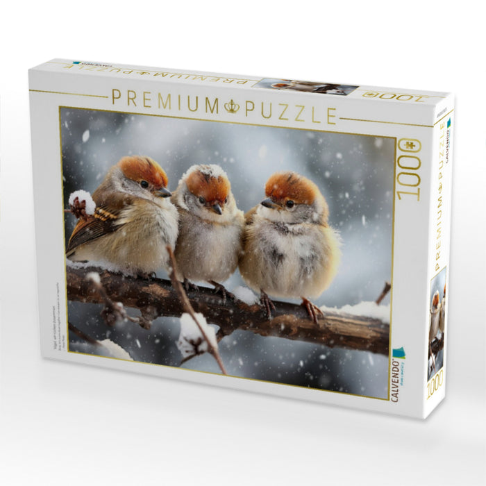 Vögel, wir rücken zusammen - CALVENDO Foto-Puzzle'