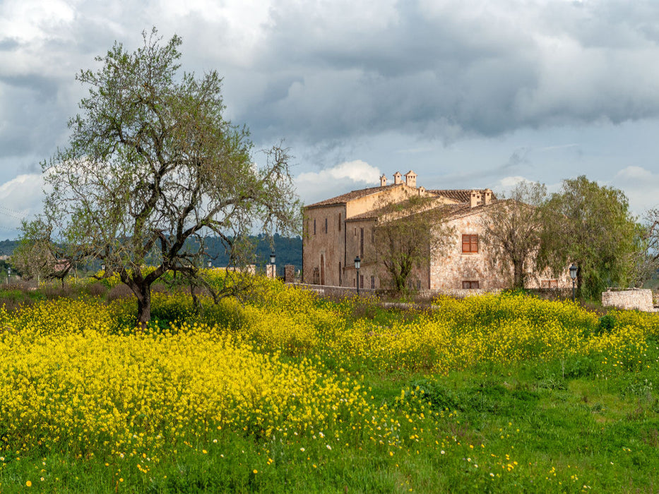 Frühling auf Mallorca - CALVENDO Foto-Puzzle'