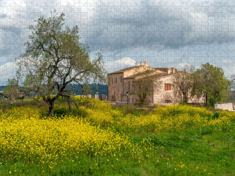 Frühling auf Mallorca - CALVENDO Foto-Puzzle'
