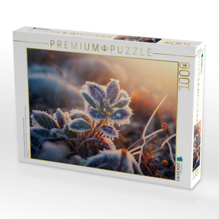 Ein Motiv aus dem Kalender Meditation und innerer Frieden - CALVENDO Foto-Puzzle'