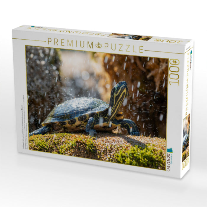 Gelbbauch-Schmuckschildkröte im Schildkrötenbrunnen in Šibenik - CALVENDO Foto-Puzzle'