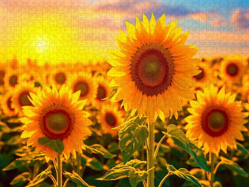 Ein Motiv aus dem Kalender Meditation und innerer Frieden - CALVENDO Foto-Puzzle'