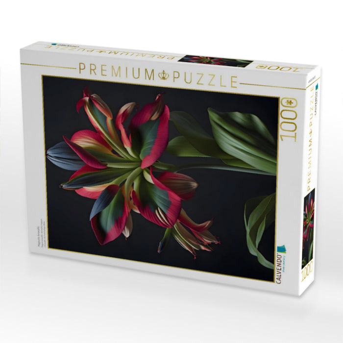Magische Amaryllis - CALVENDO Foto-Puzzle'