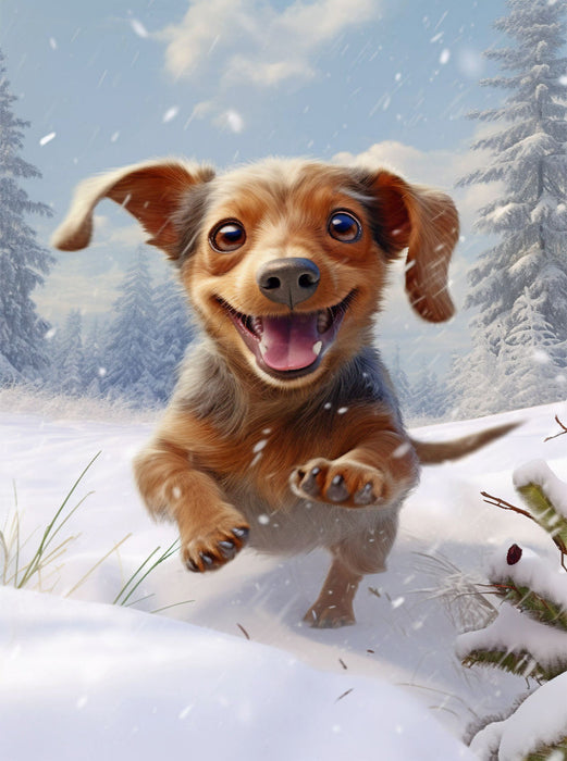 Schneeflitzer - CALVENDO Foto-Puzzle'
