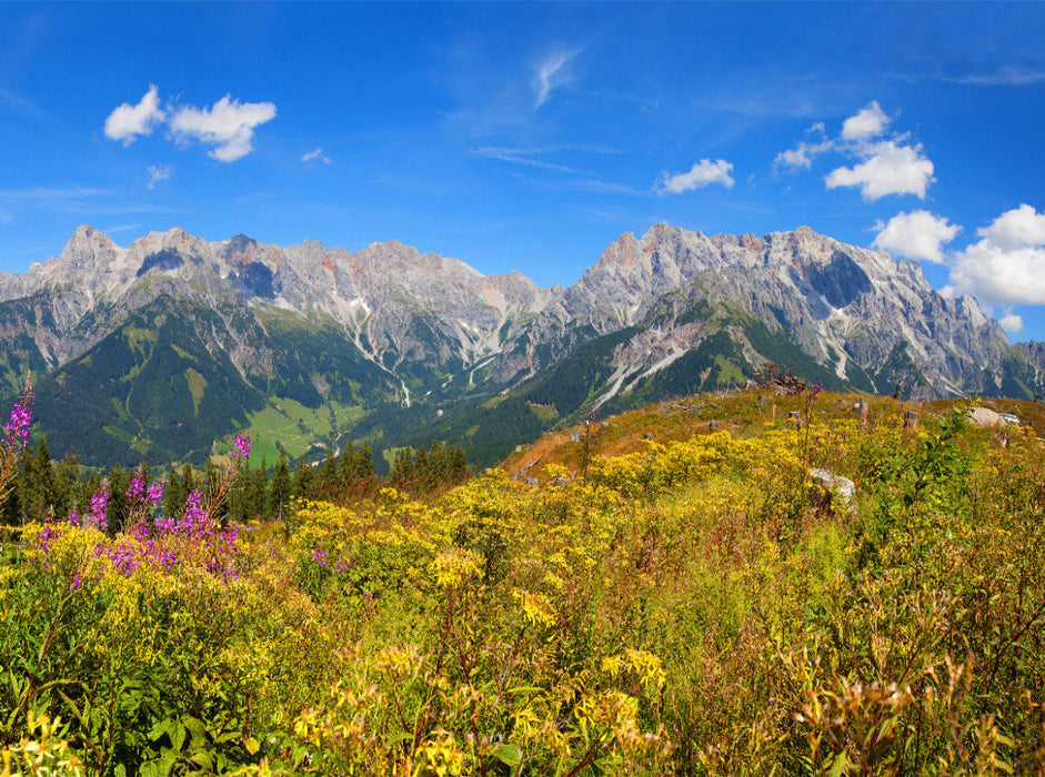 Schöne Blumenwiese auf der Steinbockalm - CALVENDO Foto-Puzzle'