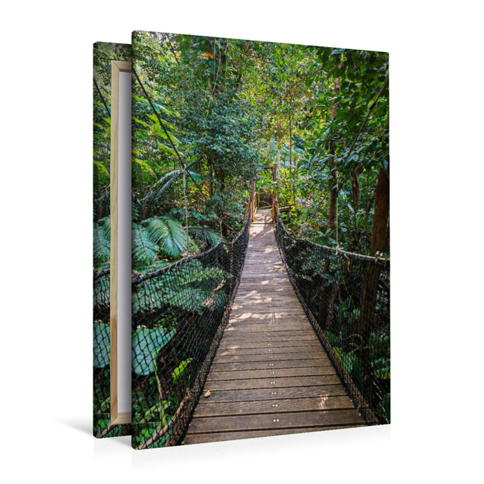 Premium Textil-Leinwand Hängebrücke im Jungle von Guadeloupe