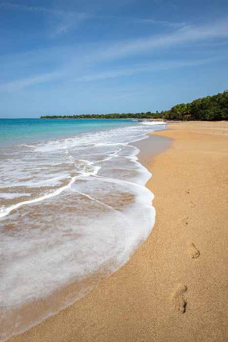 Premium Textil-Leinwand Plage de Clugny, Sandstrand auf Guadeloupe