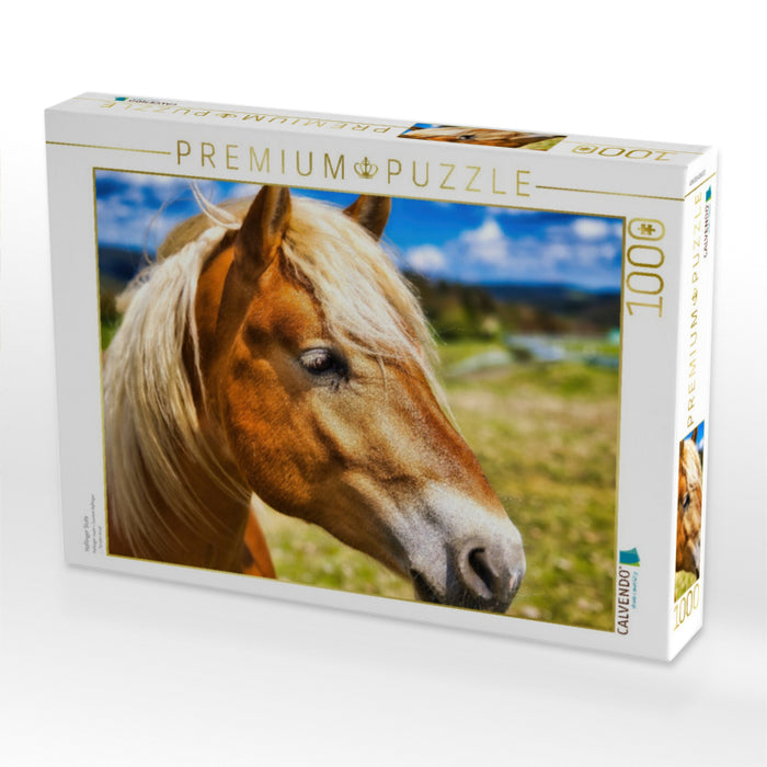 Haflinger Stute - CALVENDO Foto-Puzzle'