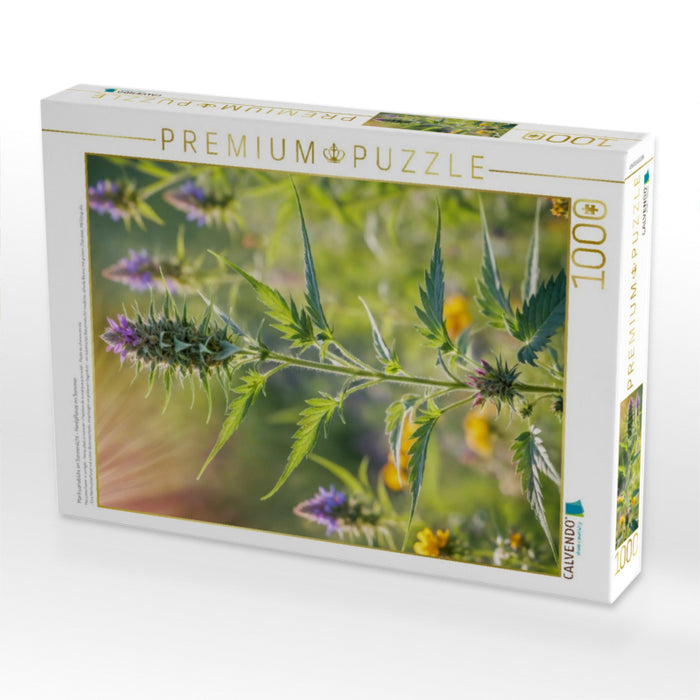Marihuanablüte im Sonnenlicht - Hanfpflanze im Sommer - CALVENDO Foto-Puzzle'