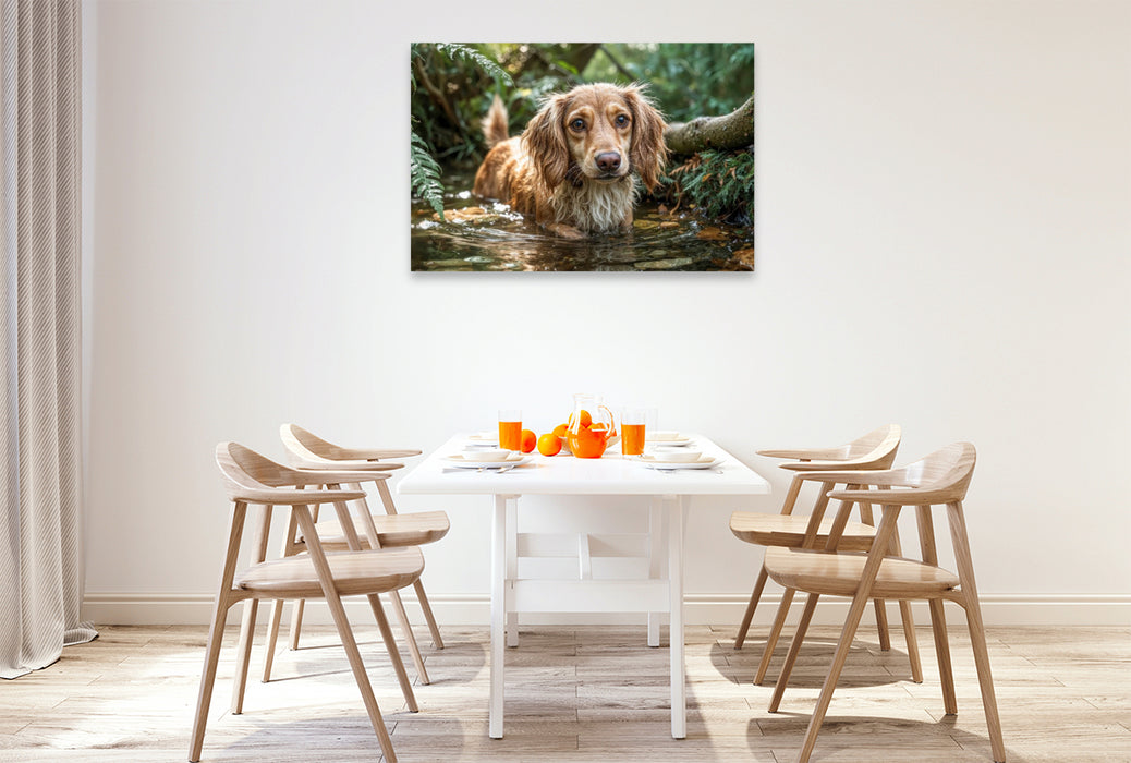 Premium Textil-Leinwand Hoffentlich wird das Wasser nicht tiefer