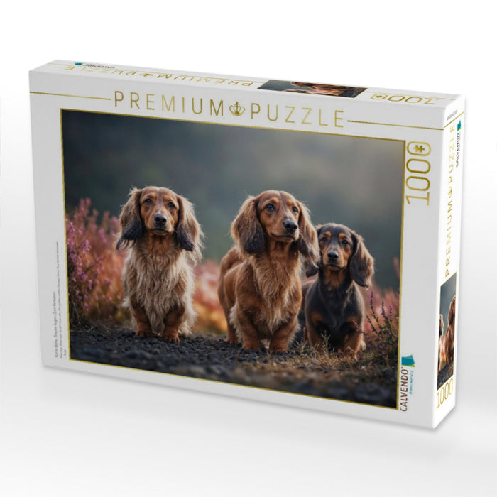 Kurze Beine. Braune Augen. Zum Verlieben - CALVENDO Foto-Puzzle'