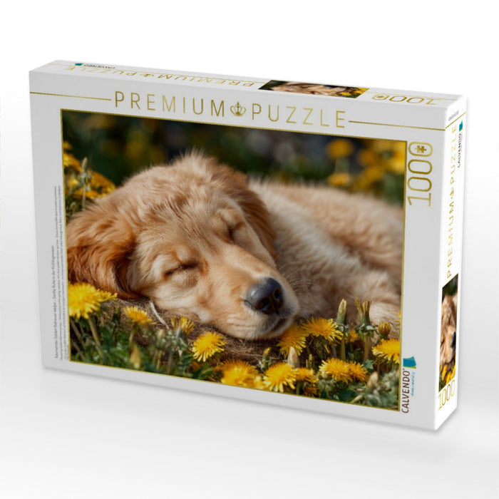 Träumender Golden Retriever-Welpe - Sanfte Ruhe in der Frühlingswiese - CALVENDO Foto-Puzzle'