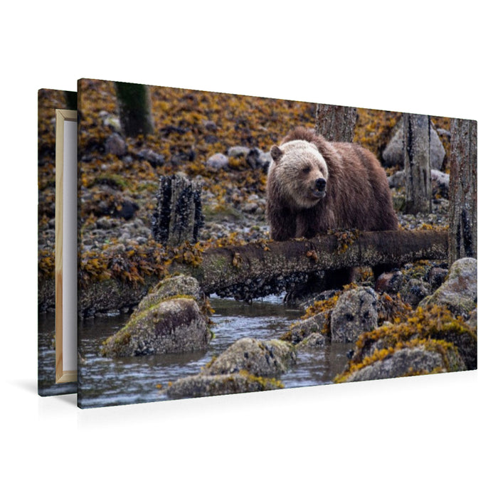 Premium Textil-Leinwand Erste Nahrungssuche