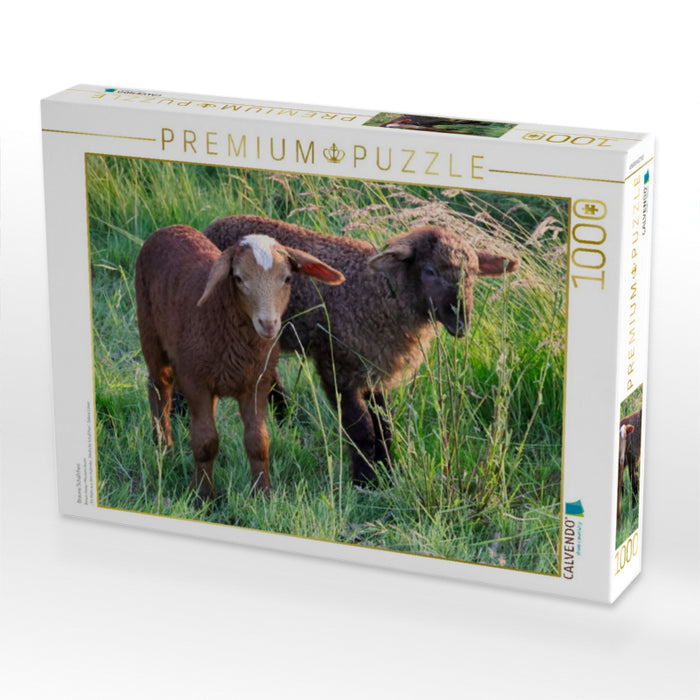 Braune Schäfchen - CALVENDO Foto-Puzzle'