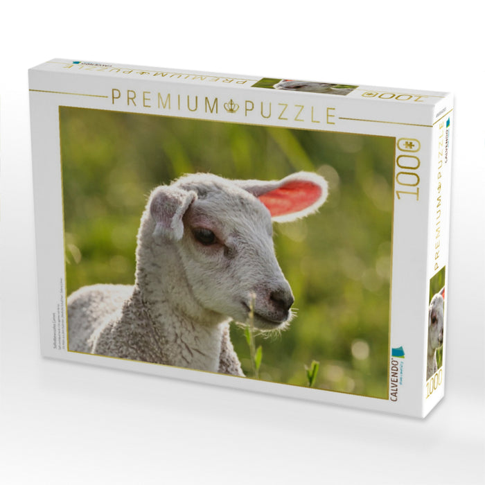 Selbstbewusstes Lamm - CALVENDO Foto-Puzzle'
