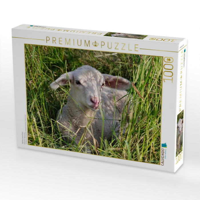Weißes Lämmchen - CALVENDO Foto-Puzzle'