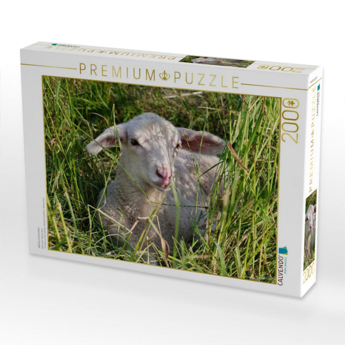 Weißes Lämmchen - CALVENDO Foto-Puzzle'