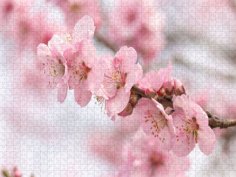 Blüten - CALVENDO Foto-Puzzle'