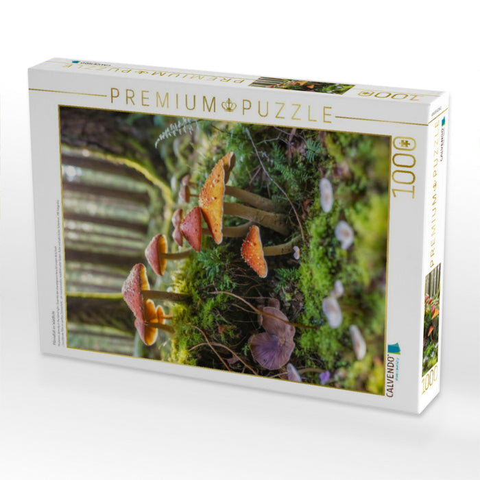Pilzvielfalt im Waldlicht - CALVENDO Foto-Puzzle'
