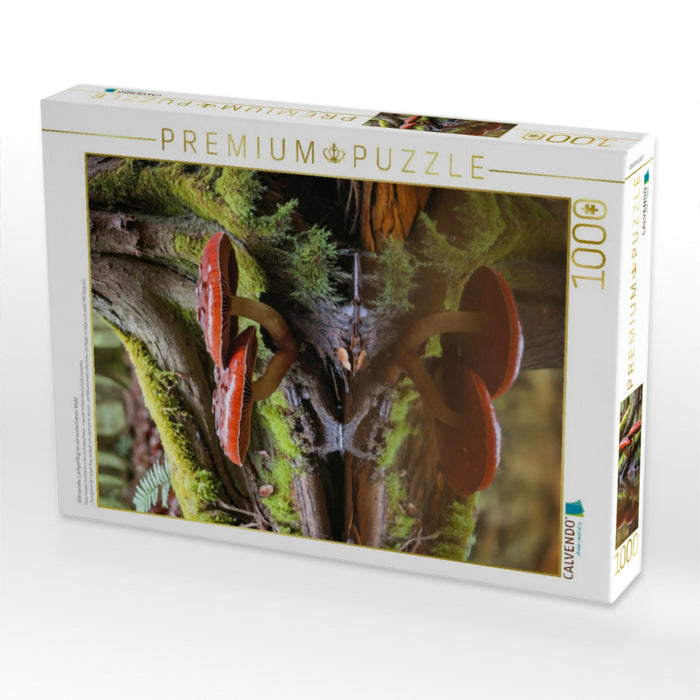 Glänzender Lackporling im verwunschenen Wald - CALVENDO Foto-Puzzle'