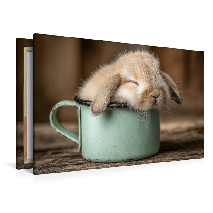 Premium Textil-Leinwand Schlafendes Häschen in Tasse - Gemütlichkeit in ihrer süßesten Form