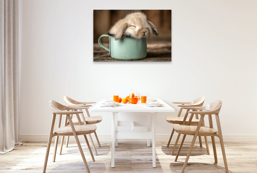 Premium Textil-Leinwand Schlafendes Häschen in Tasse - Gemütlichkeit in ihrer süßesten Form